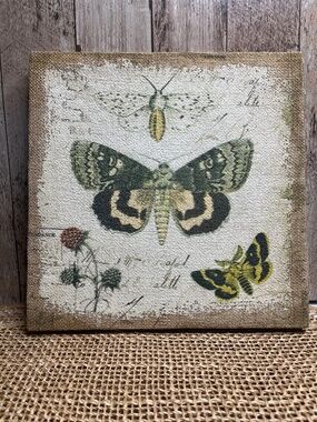 Botanical Butterfly Canvas Wall Art Rustic Nature Decor Burlap Style